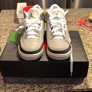 Air Jordan 3 Retro Chlorophyll/smoke grey